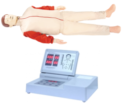 <b>高級全自動(dòng)電腦心肺復蘇模擬人</b>