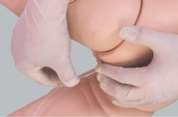 兒童灌腸模型